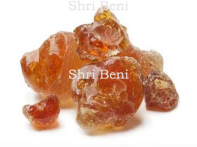 Babul Gum